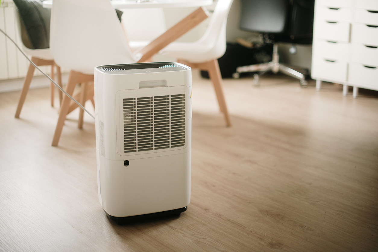 Dehumidifier in Living Room