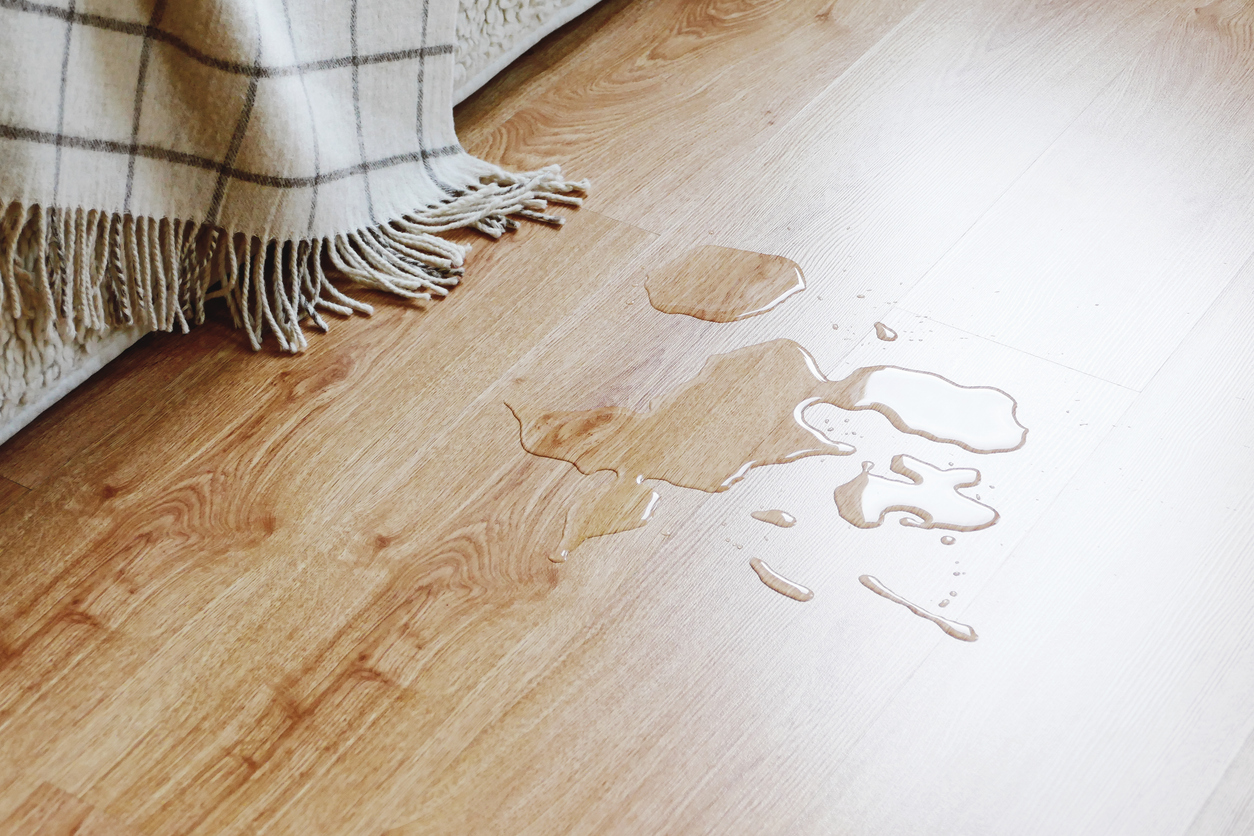 Water on Laminate Floor