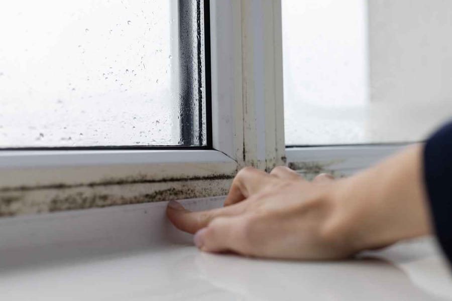 Woman touching the wet window with black moldy fungus.